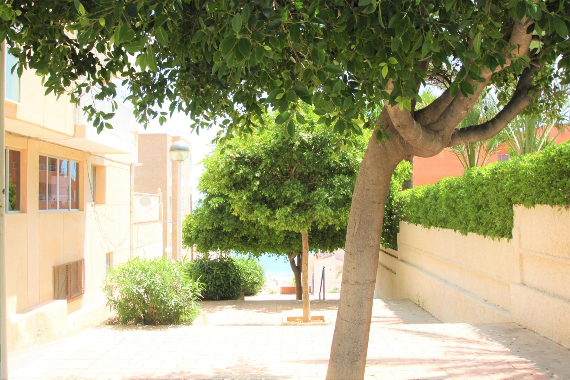 Apartamento Casaturis En Los Arenales Del Sol Ar102 Con Terraza Y Piscina Ngoại thất bức ảnh